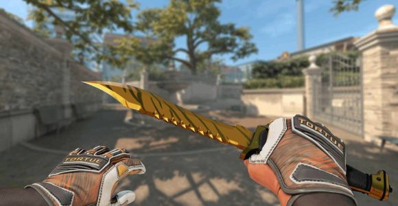 StatTrak™️ Bowie Knife | Tiger Tooth